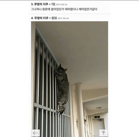 우리 집 창문에 붙어있던거 떼옴.jpg | 인스티즈