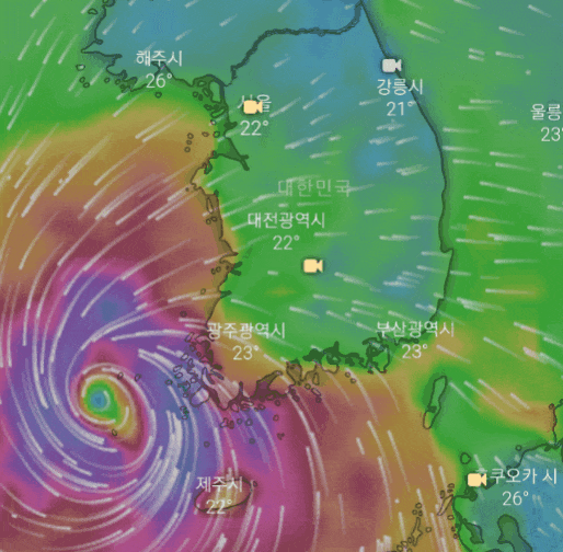 유럽중기예보센터(ECMWF), 18호 태풍 미탁 예상 경로(상하이 앞바다-한국 관통) | 인스티즈