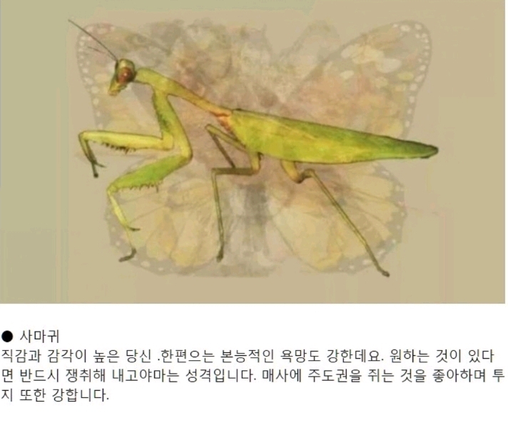 먼저 보이는 그림으로 하는 성격테스트.jpg | 인스티즈