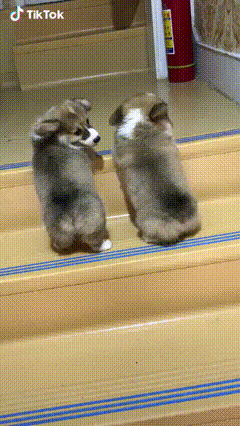 아침부터 심장에 무리가는 짤.gif | 인스티즈