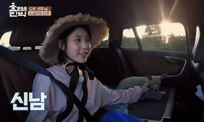 안전벨트 3개를 맨 아이유.gif | 인스티즈