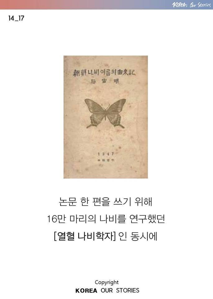 조선에서 나비가 사라졌다 | 인스티즈