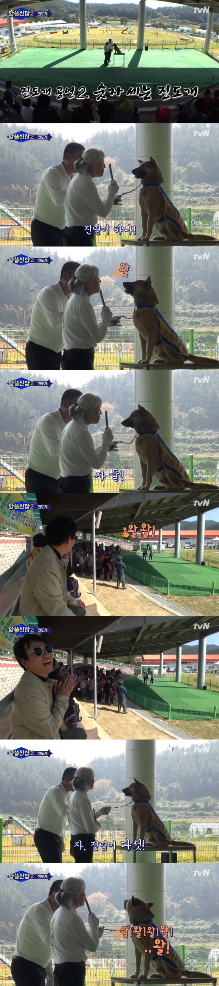 유시민 작가가 알쓸신잡에서 진도를 소개한 이유 | 인스티즈