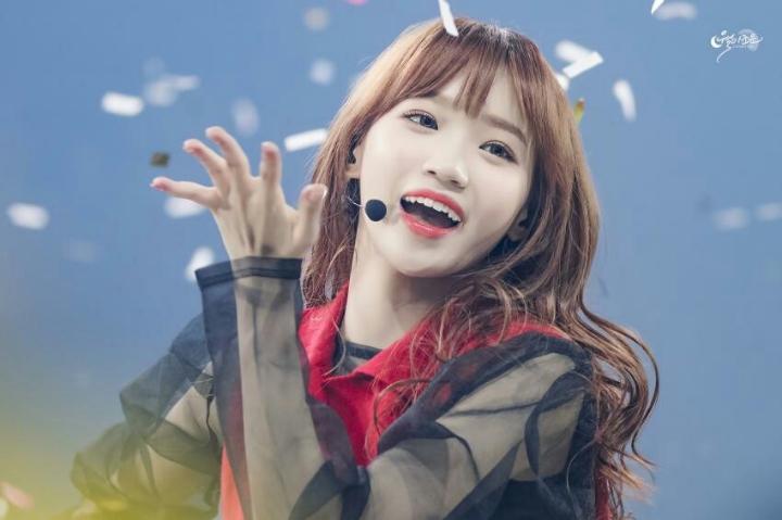 채원이 보고가세여 | 인스티즈