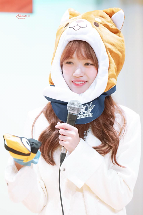 아이즈원) 시바쌈무 고화질 | 인스티즈