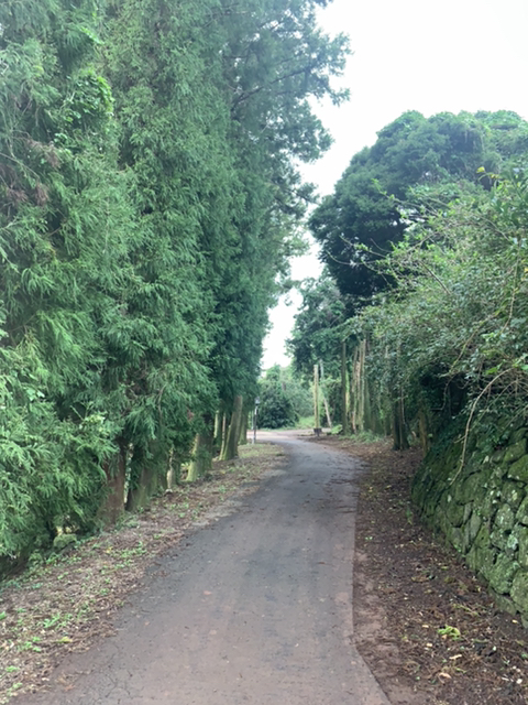 제주 여행 첫째날 | 인스티즈