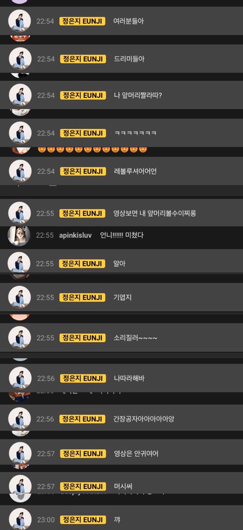 에이핑크 정은지 자화 자찬 댓글.jpg | 인스티즈