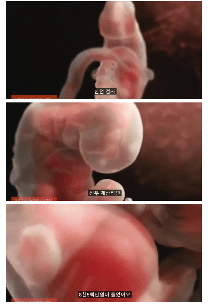 사랑하는 남자는 없지만 가정을 갖고 싶었던 중국여성.jpg | 인스티즈