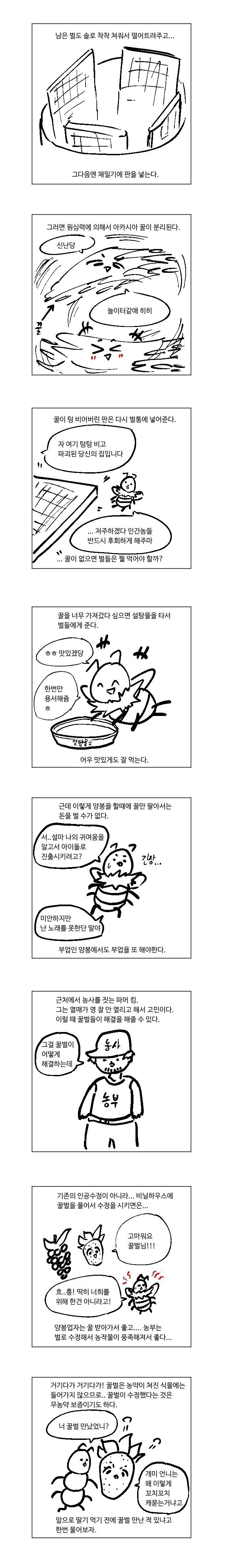 신나는 양봉이야기 만화 | 인스티즈