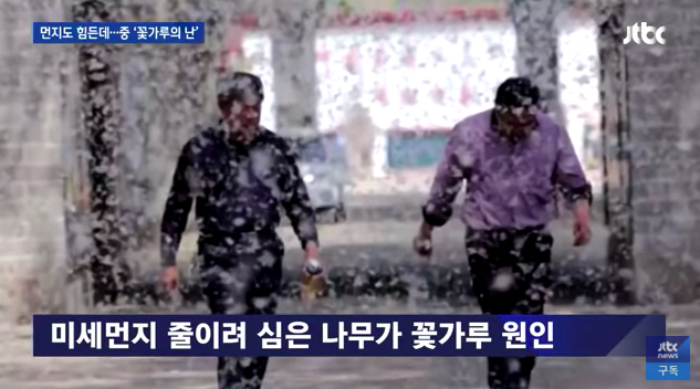 봄이면 난리나는 중국과 일본 | 인스티즈