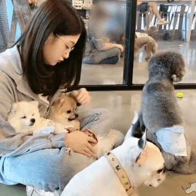 개놈이 부러워서 프로미스나인 이서연.gif | 인스티즈