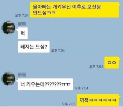 울 아빠는 개 키운 이후로 보신탕 안드심ㅋㅋ.jpg | 인스티즈