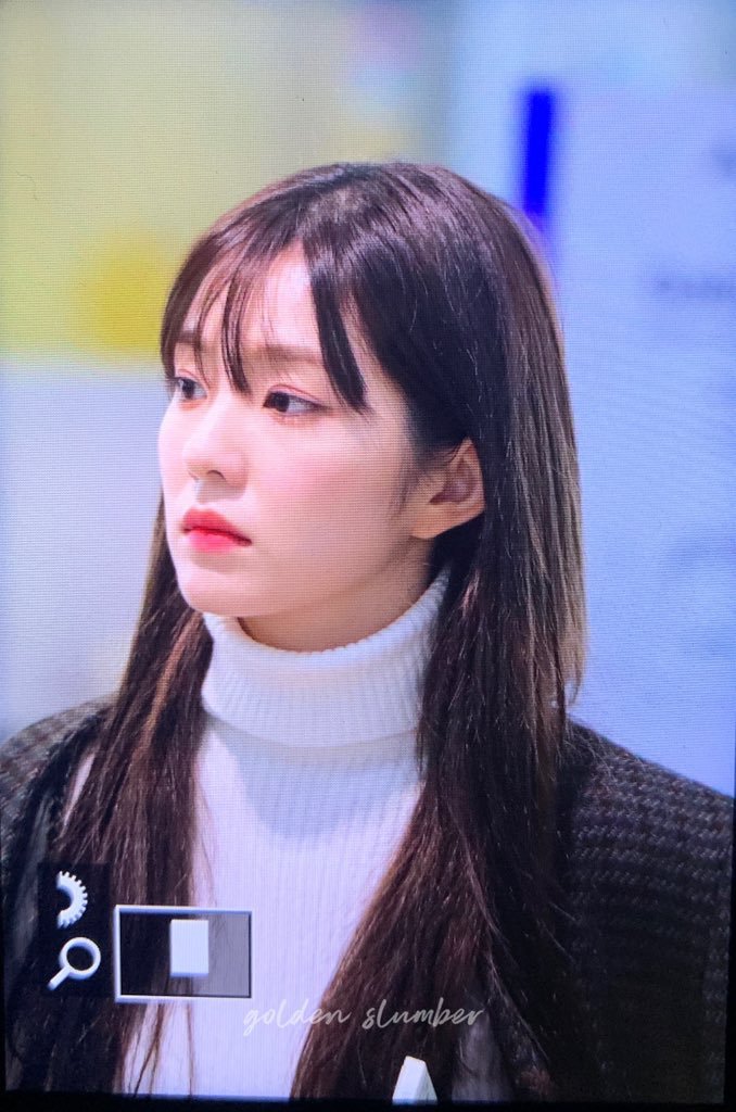 우연히(?) 다미아니 CEO와 사진찍고 파리로 이동한 레드벨벳 아이린 | 인스티즈