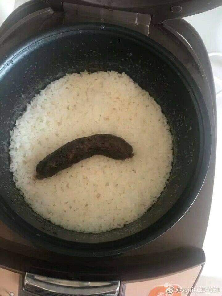 집사 밥에 똥 싸기 | 인스티즈