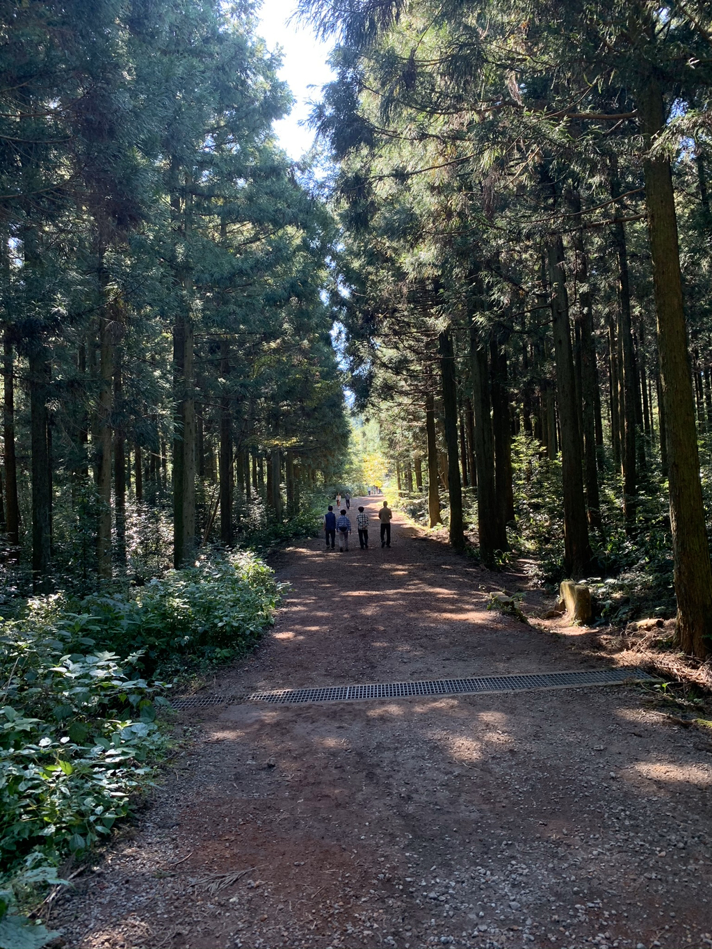 제주도 여행 마지막 날.. | 인스티즈