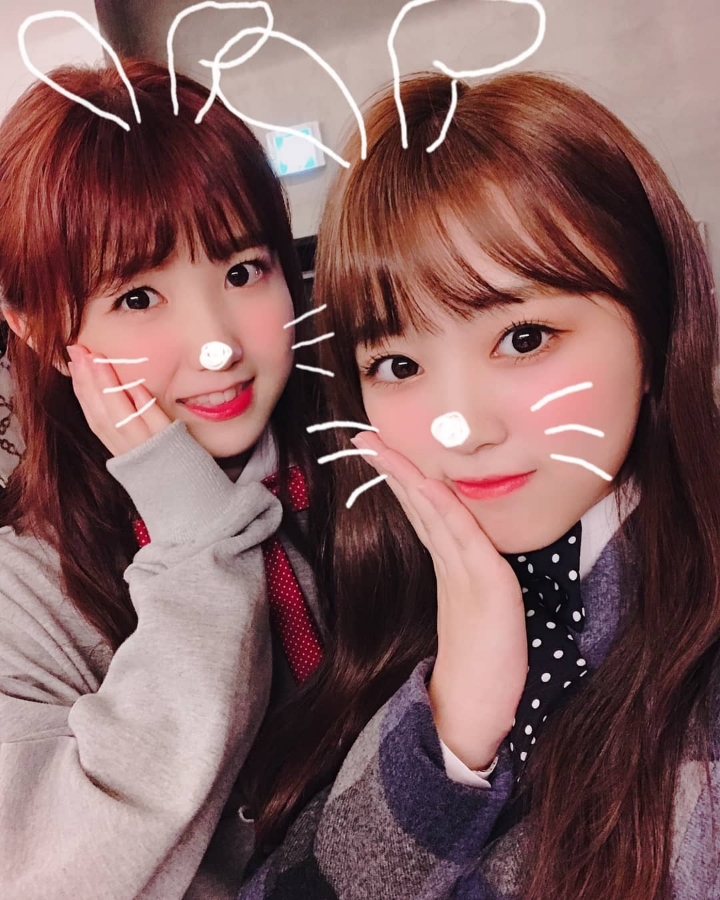 크리스마스라서 아이즈원 | 인스티즈