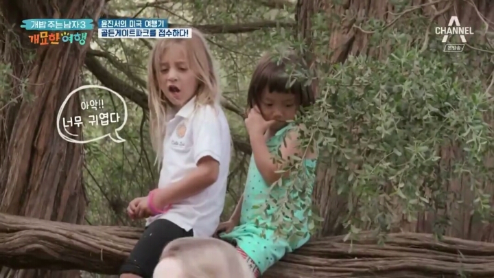 미국여행 간 진돗개의 인기.jpg | 인스티즈