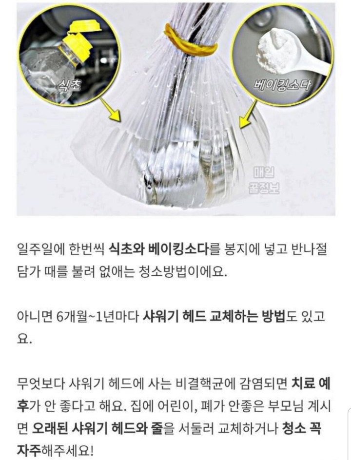 샤워기로 입을 헹구면 안되는 이유 | 인스티즈