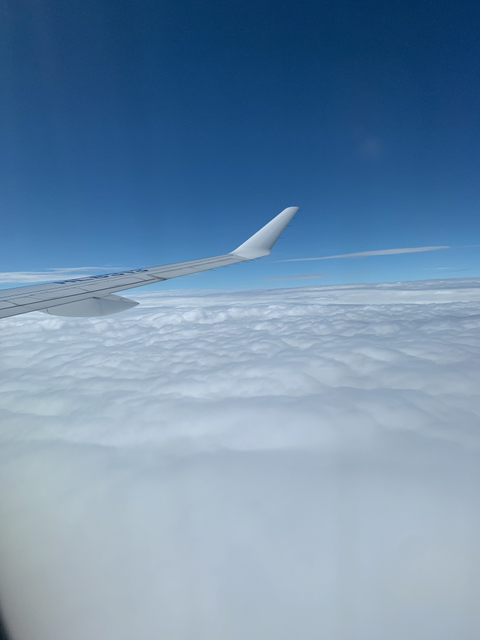 제주 여행 첫째날 | 인스티즈