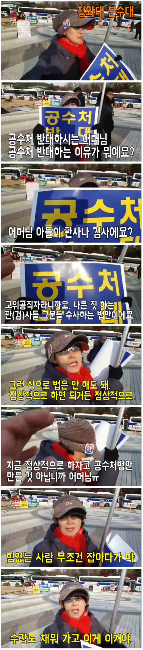 공수처를 반대하는 아주머니.jpg | 인스티즈