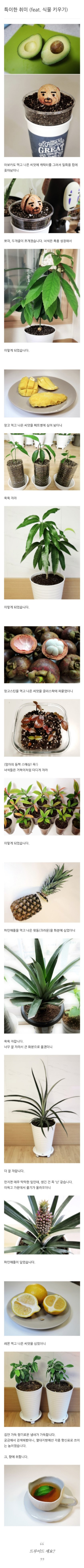 식물갤의 특이한 취미 | 인스티즈