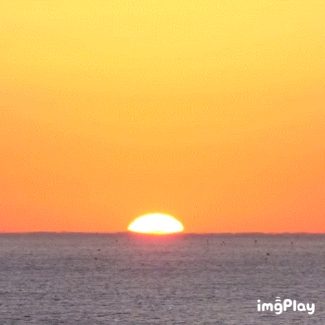 새해 인사하는 펭수.gif | 인스티즈