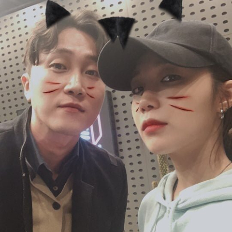 고양이 에이핑크 정은지.jpg | 인스티즈