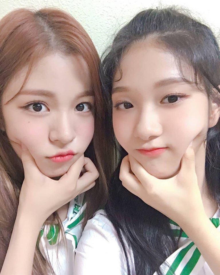 프로미스나인 빵빵즈 친구들 | 인스티즈