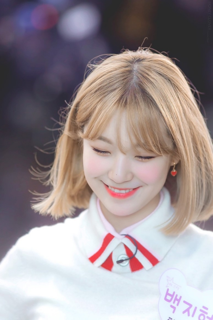 꿀같은 하루 보내라는 의미에서 꿀깅이 백지헌.jpgif | 인스티즈