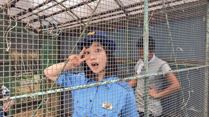 [데이터주의] 2019 첫 하시모토 칸나 | 인스티즈