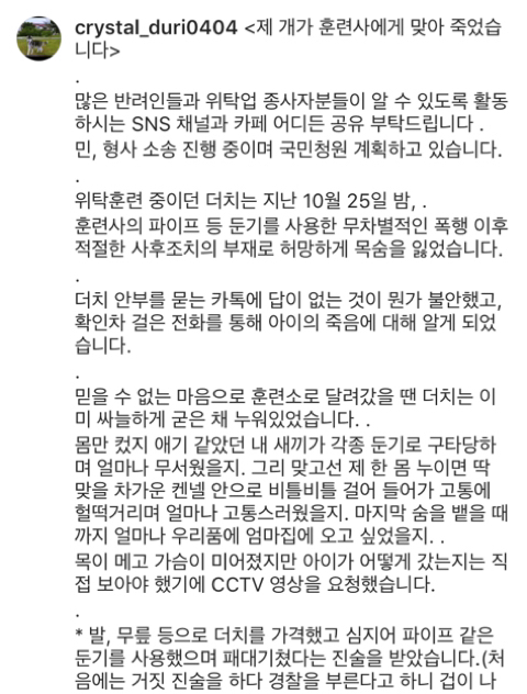 강아지가 훈련사에게 맞아 죽었습니다 | 인스티즈