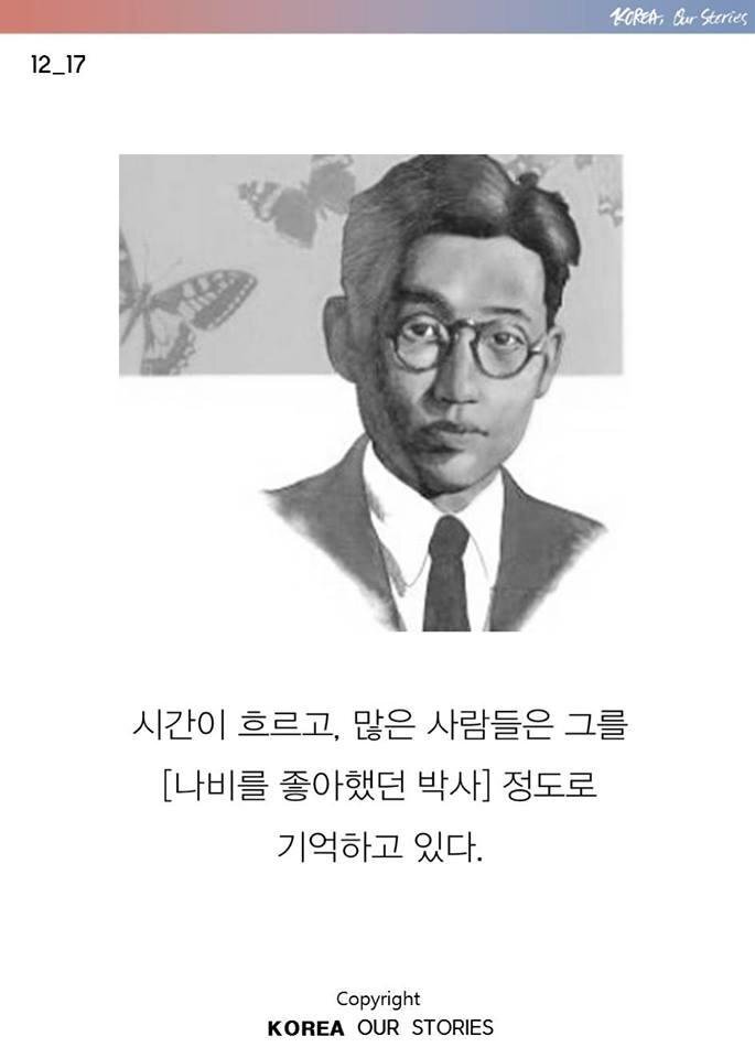 조선에서 나비가 사라졌다 | 인스티즈