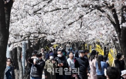 "답답해서 못 참겠다"…벚꽃 핀 여의도. 공원에 쏟아져 나온 시민들 | 인스티즈