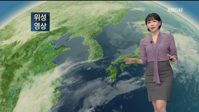 강아랑 기상캐스터 | 인스티즈