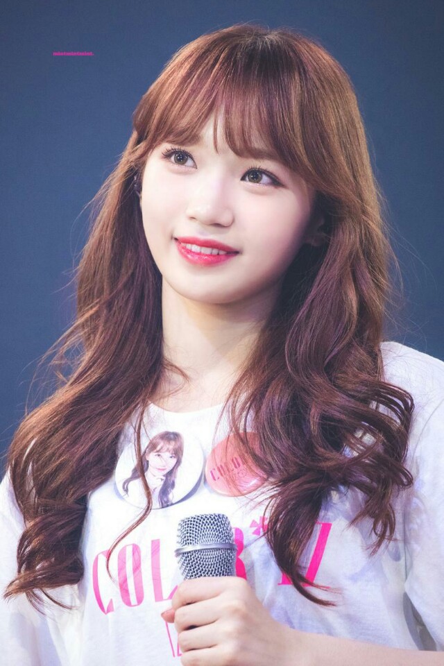 채원이 보고가세여 | 인스티즈