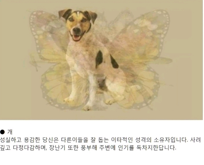 먼저 보이는 그림으로 하는 성격테스트.jpg | 인스티즈