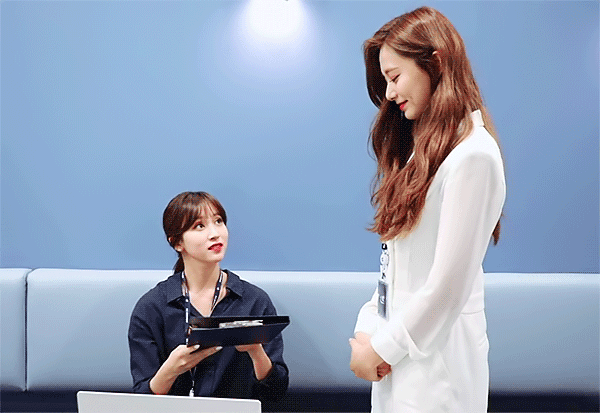 후쿠오카에서 한창 몸풀고 있을 쯔뭉이 &amp; 댕댕이 | 인스티즈