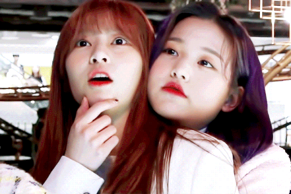 아이즈원에서 이뻐 보이는 멤버들.jpg | 인스티즈