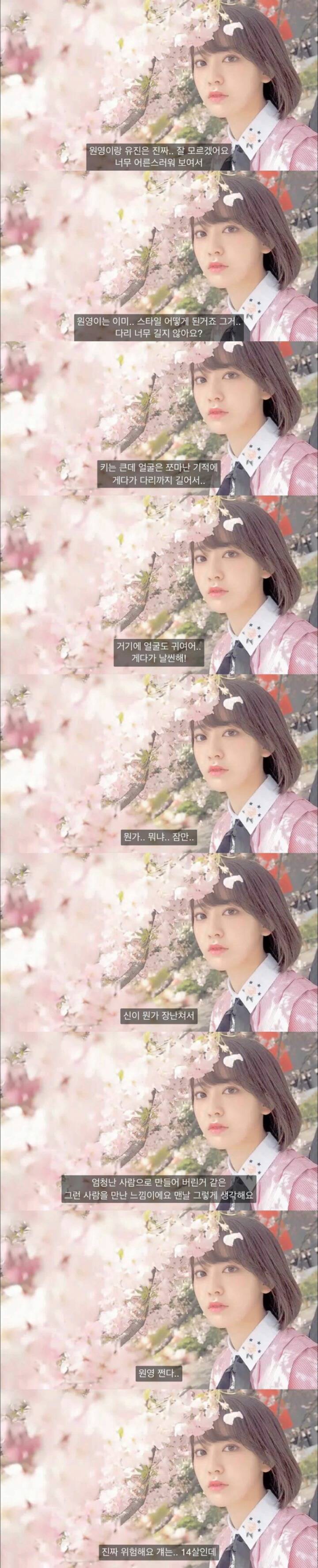 아이즈원) 사쿠라의 멤버 주접 1탄 (막내토끼 장원영) | 인스티즈