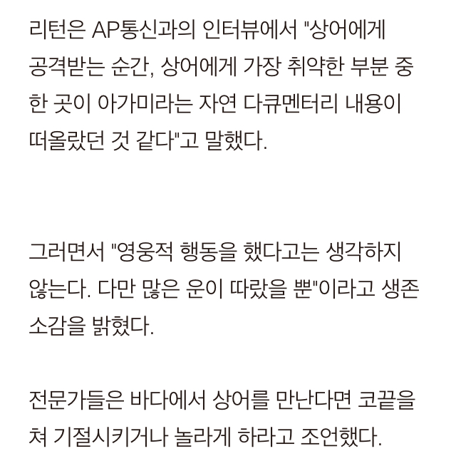 바다에서 상어 만나면 대처법 | 인스티즈