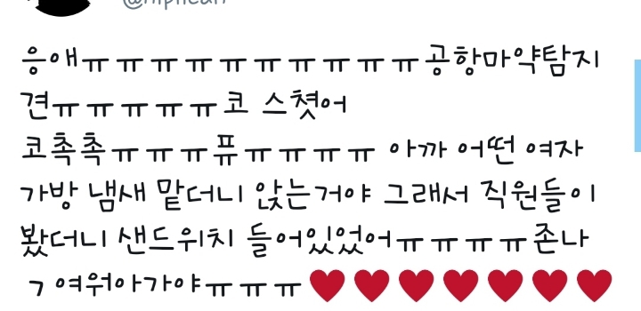 아직은 일이 서툰 공항 마약탐지견 | 인스티즈