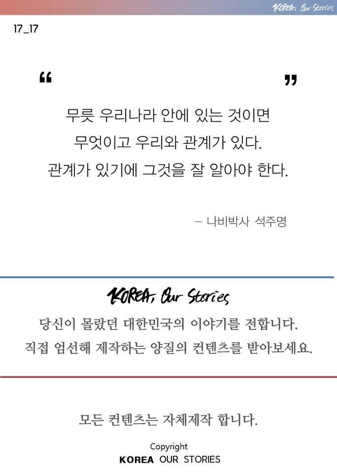 조선에서 나비가 사라졌다 | 인스티즈