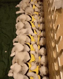 훈련소 이틀차.JPG | 인스티즈