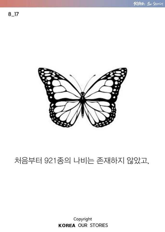 조선에서 나비가 사라졌다 | 인스티즈