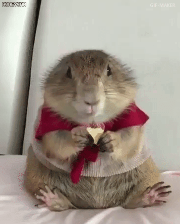 딱히 기대 안하고 먹음.gif | 인스티즈