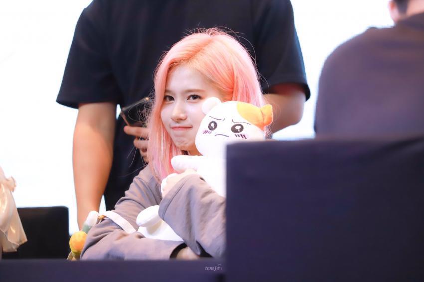 인형따라하는 사나.jpgif | 인스티즈