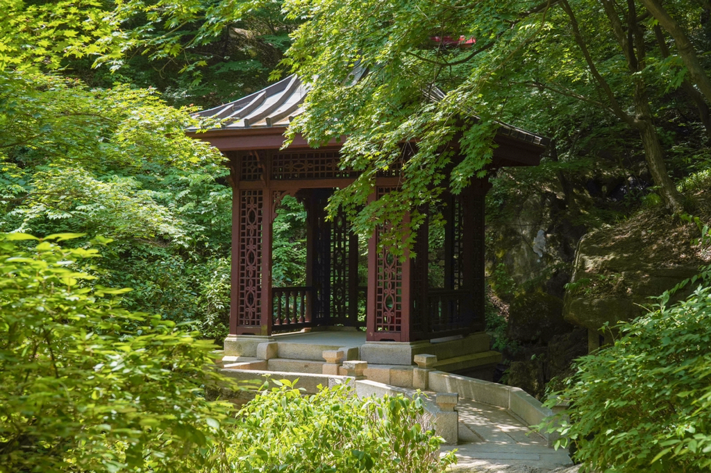 2018년 찍었던 사진 중 맘에 드는 것들 | 인스티즈