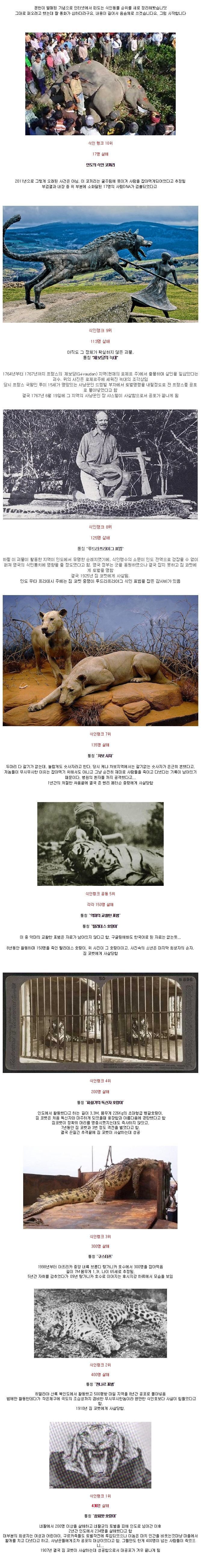 실존했던 식인동물들 | 인스티즈