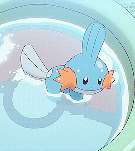 자신이 가장 귀여워 하는 포켓몬은? | 인스티즈