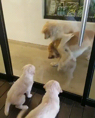 부부싸움이 아이들에게 미치는 영향.gif | 인스티즈